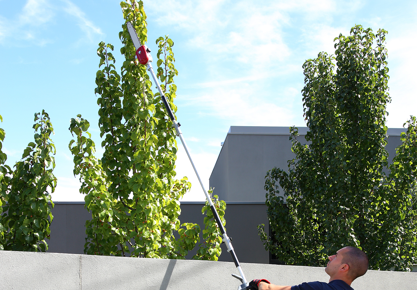 Honda Versatool Pruner Attachment