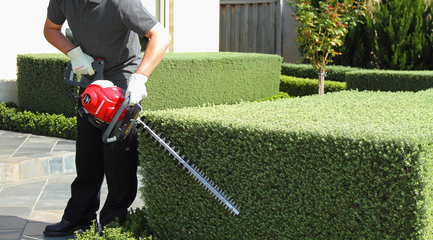 Honda HH25D Hedgetrimmer