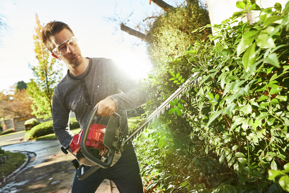 Honda HH25D Hedgetrimmer