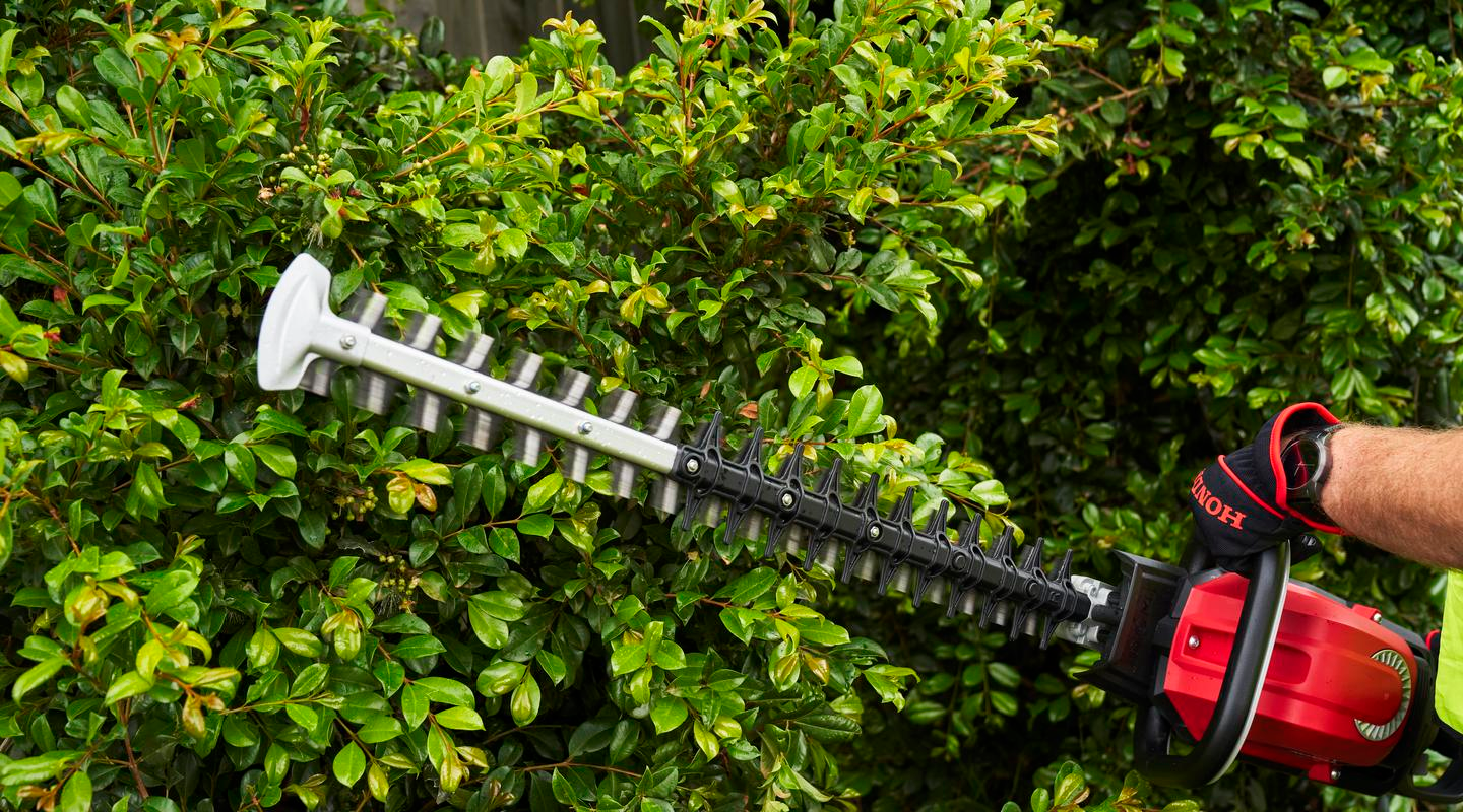 Honda HHH36 Battery Commercial Hedgetrimmer