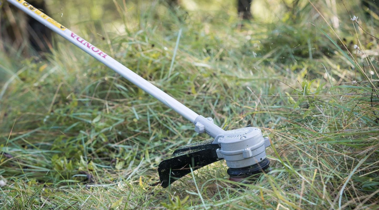 Honda HHT36 Commercial Brushcutter