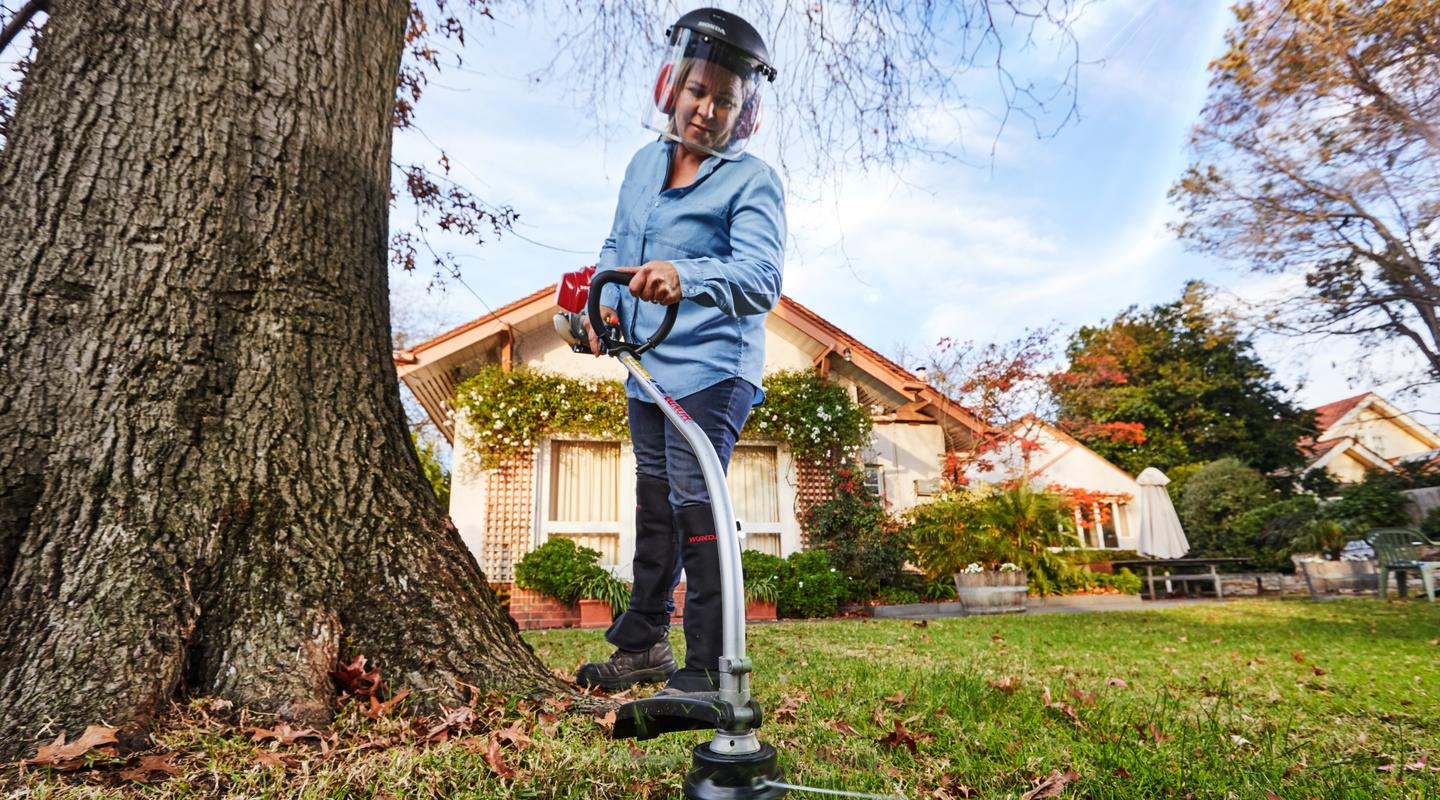 Honda UMS425 Brushcutter