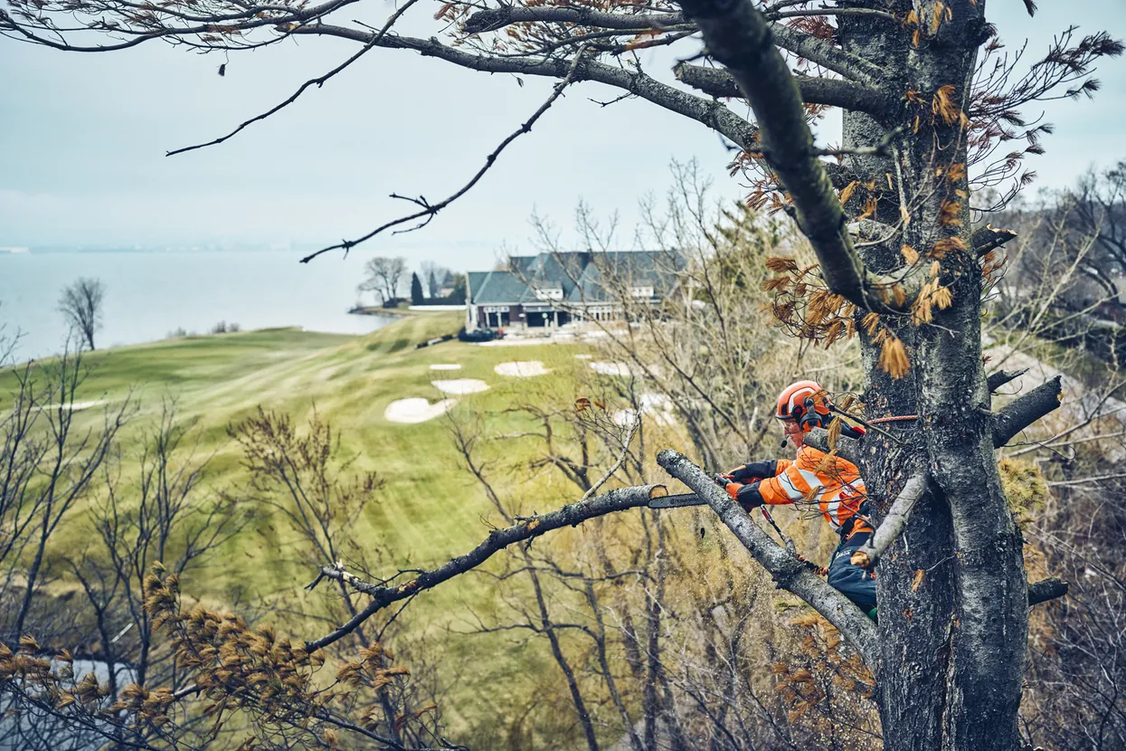 Husqvarna T542i XP® Battery Treecare Chainsaw