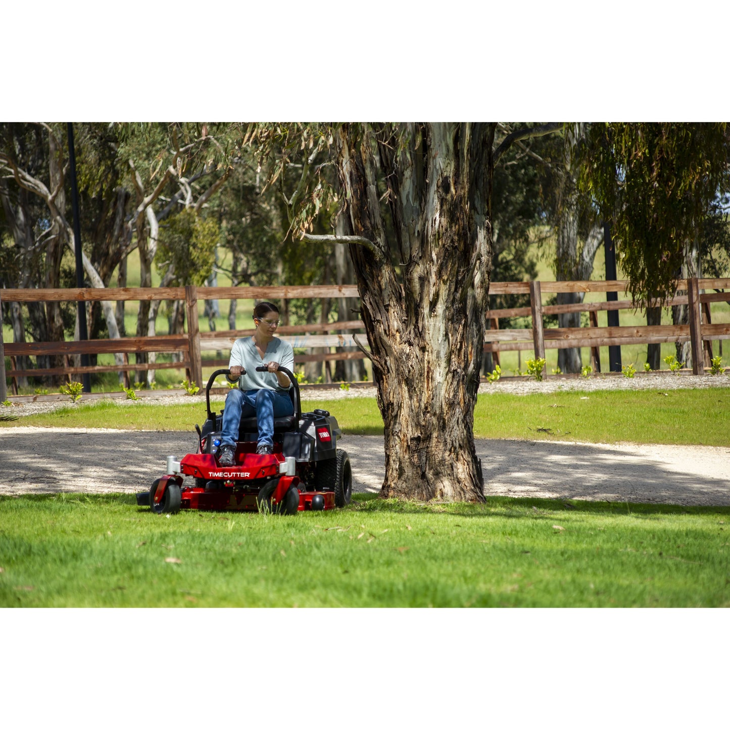 Toro 42" (75766TA) TimeCutter® MX 4225